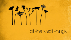 All the Small Things